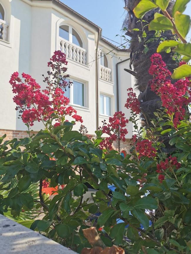 Casa Oasa -Accommodation , Pizzeria & Bar Marezige Kültér fotó
